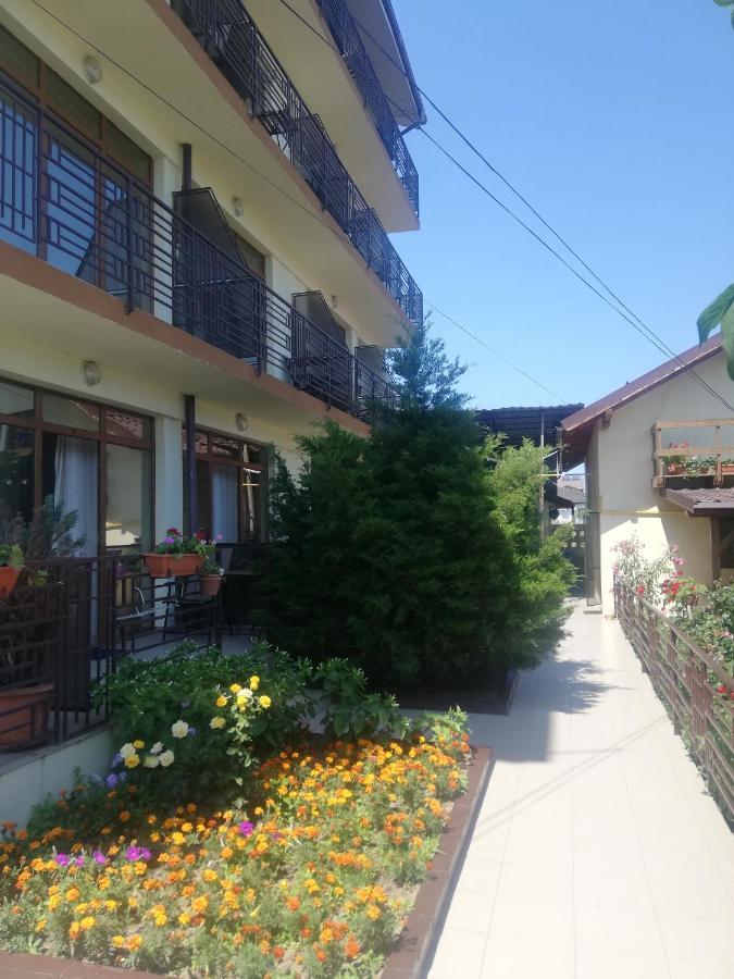 Villa Pescarus Costinesti Bagian luar foto