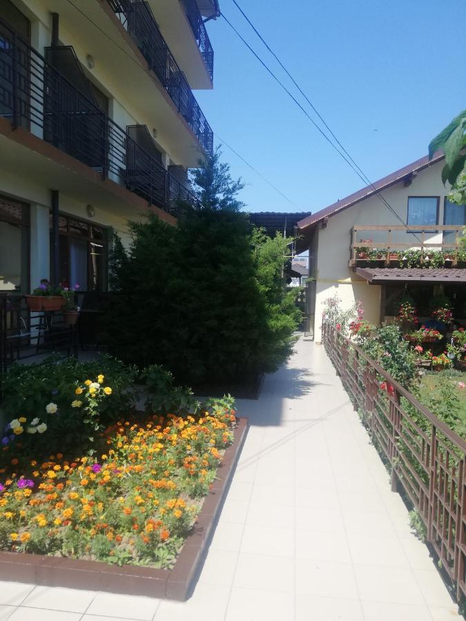 Villa Pescarus Costinesti Bagian luar foto